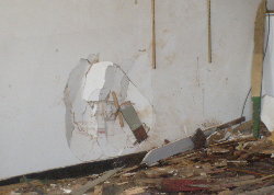 picture1