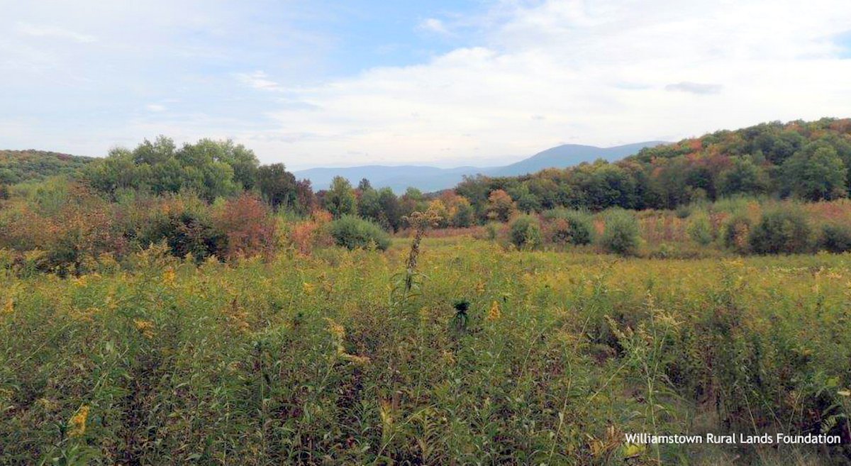 Williamstown Rural Lands Offers Guided Hike Series /