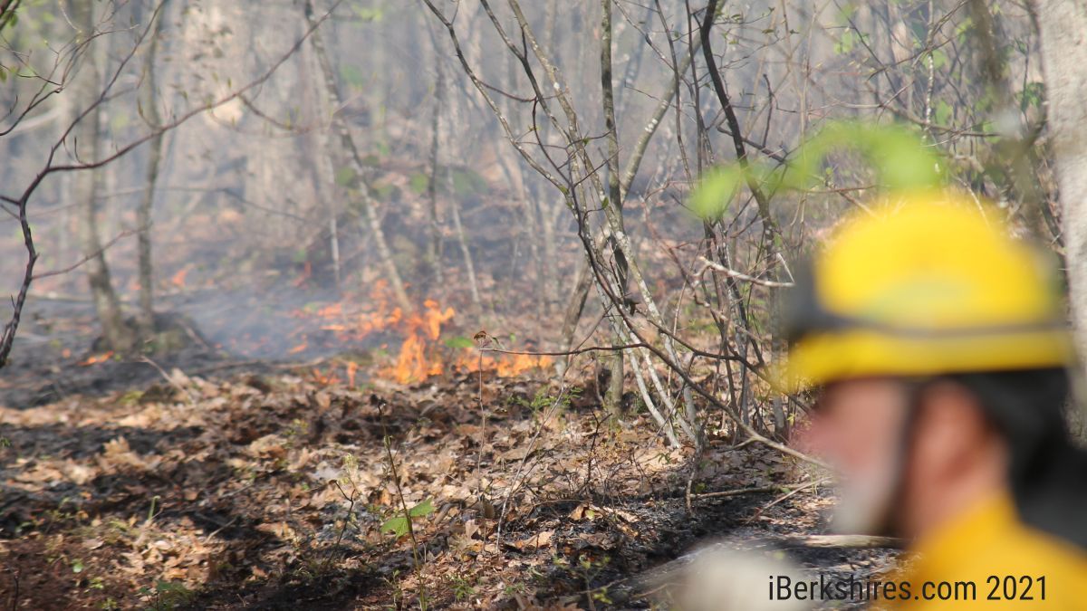 UPDATE: Williamstown Forest Fire Fight to Continue into Sunday ...