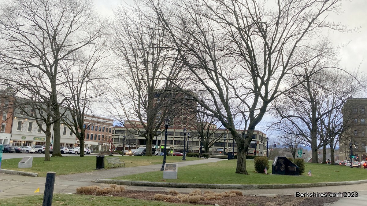 Pittsfield Commission Supports Park Square Tree Plan /