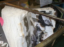picture1
